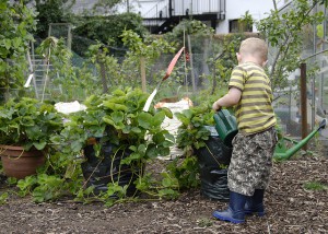 A helping hand to water your plants