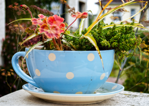 cup planter