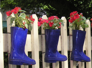 welly planters