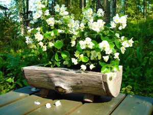 flower-planter