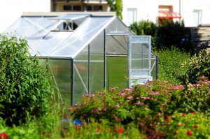 greenhouse-827464_1280
