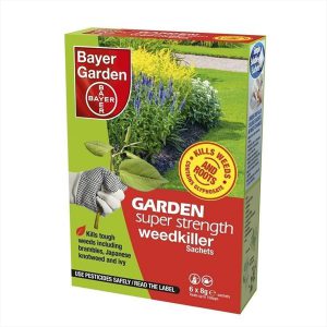 bayer