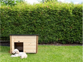 The Cozy Cabin Dog Kennel (Small)
