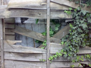 Broken Fence Panel to fix