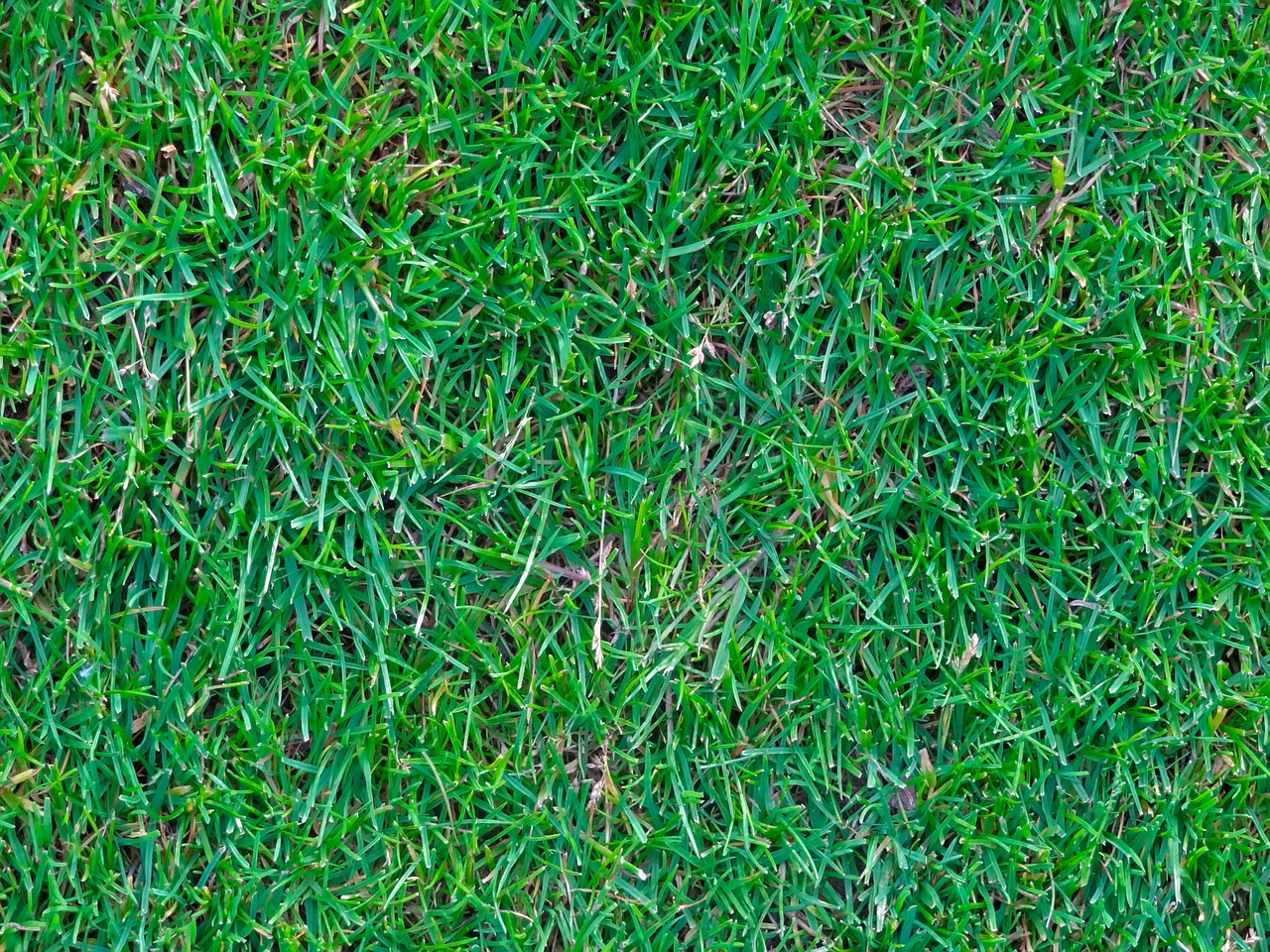 how to install artificial grass