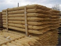 Timber Fencing Poles