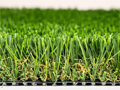 Artificial Grass & Lawn