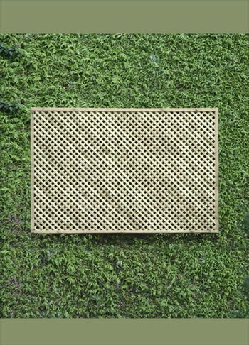 Privacy Lattice Trellis (1.83m x 1.2m) 