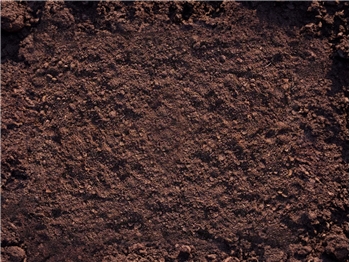 Garden Top Soil (Bulk Bag)