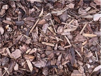 Decorative Garden Bark (Bulk Bag)