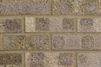LBC - 65mm Cotswold (Sold Individually)