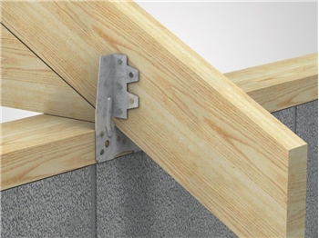 Truss Clip (50mm)