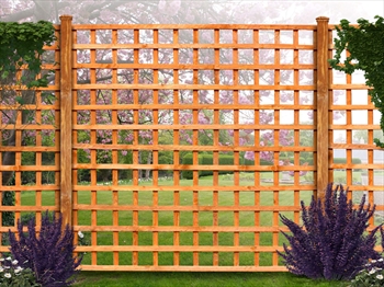 Square Trellis (6