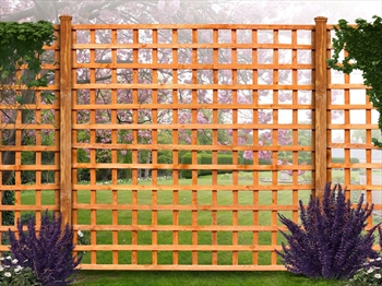 Square Trellis (6