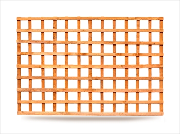Square Trellis (6