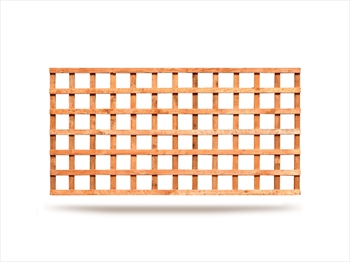 Square Trellis (6