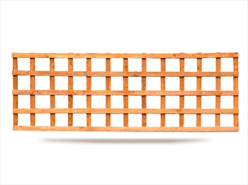 Square Trellis (6