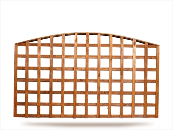 Arched Trellis (6