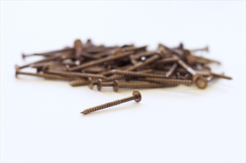 Cedar Shingle Silicone Bronze Nails 1kg (31mm x 1.8mm)