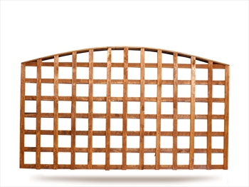Arched Trellis (6