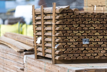 Cut To Size - Machine Half Round Non Pointed Timber Poles (100mm)