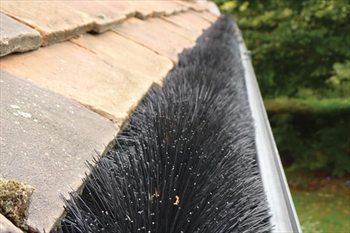 Hedgehog Gutter Brush 100mm x 4m