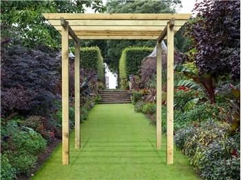 Royal Walkway Pergola