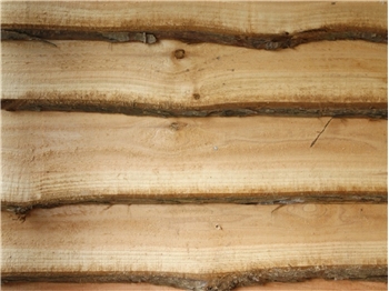 Waney Edge Boards (600mm)