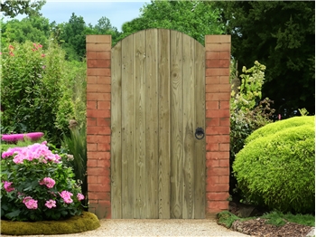Tongue & Groove Arched Gate (0.9m x 1.8m)