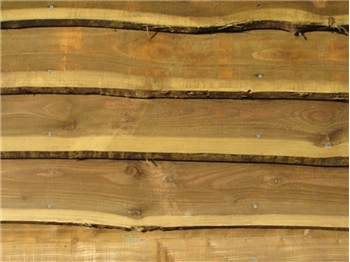 Waney Edge Boards Heavy Duty (3.6m)