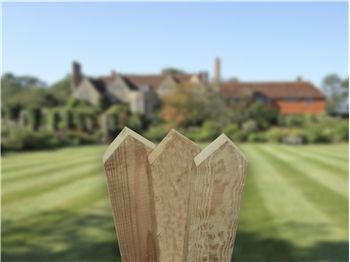 Planed, Pointed Top Picket Boards 600mm
