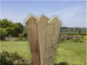 Planed, Pointed Top Picket Boards 1200mm