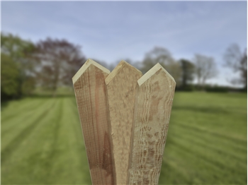 Planed, Pointed Top Picket Boards 900mm