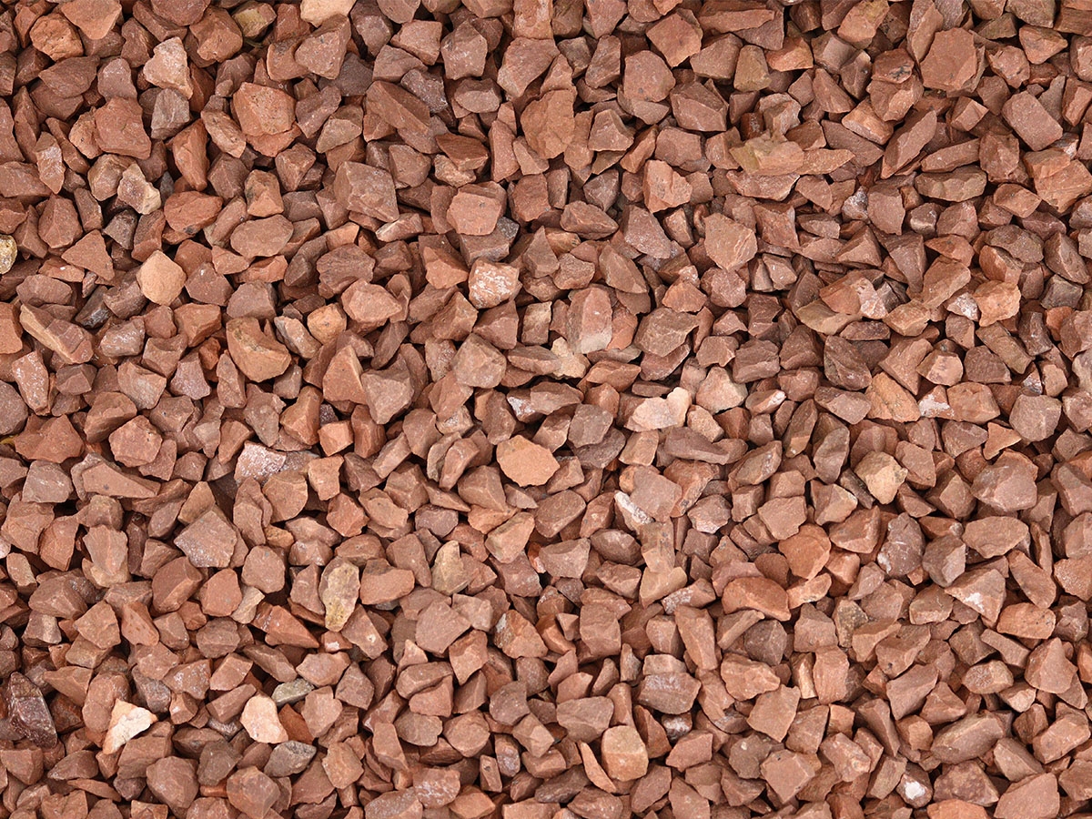 First slide for pid 10309