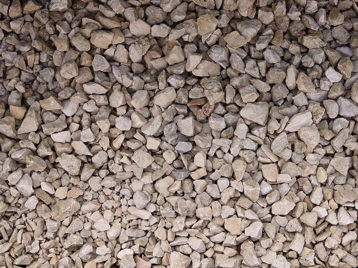 First slide for pid 11938