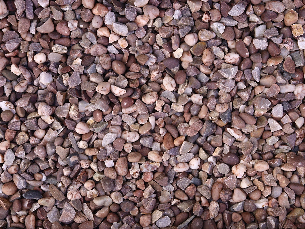 First slide for pid 11946