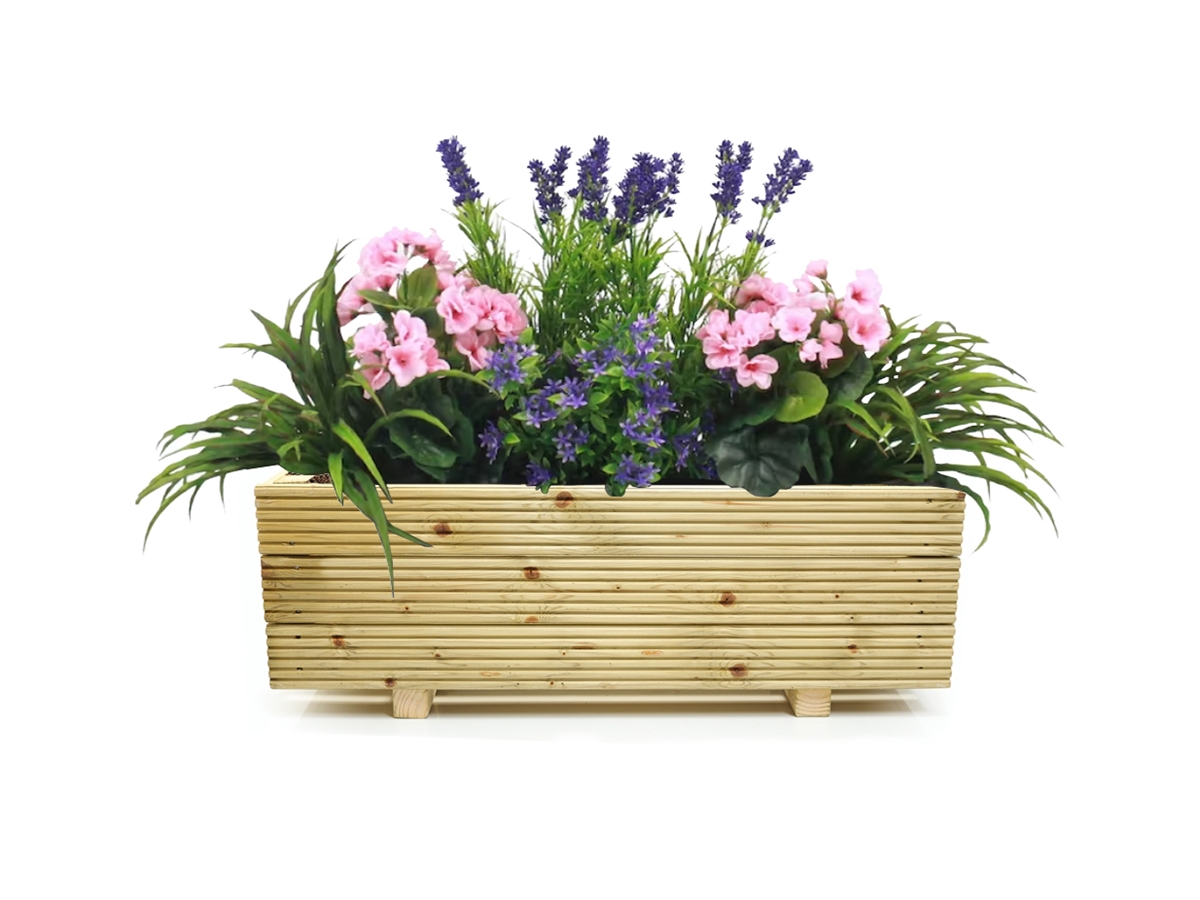 First slide for pid 12600