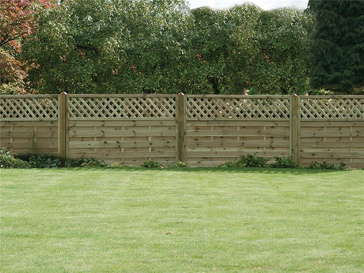 Second slide for pid 12731