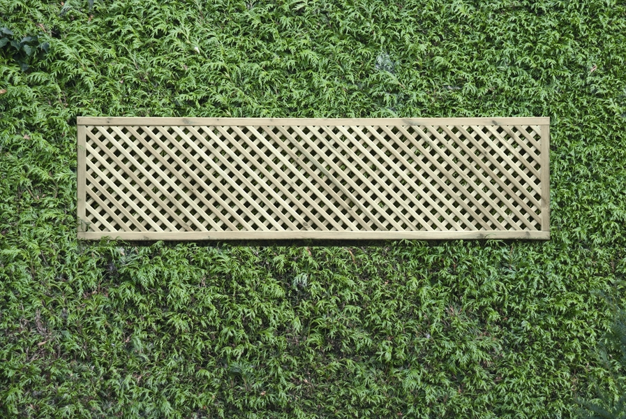 First slide for pid 12802