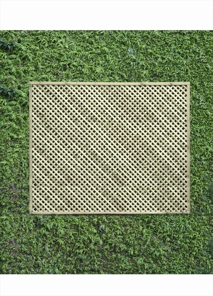 First slide for pid 12806