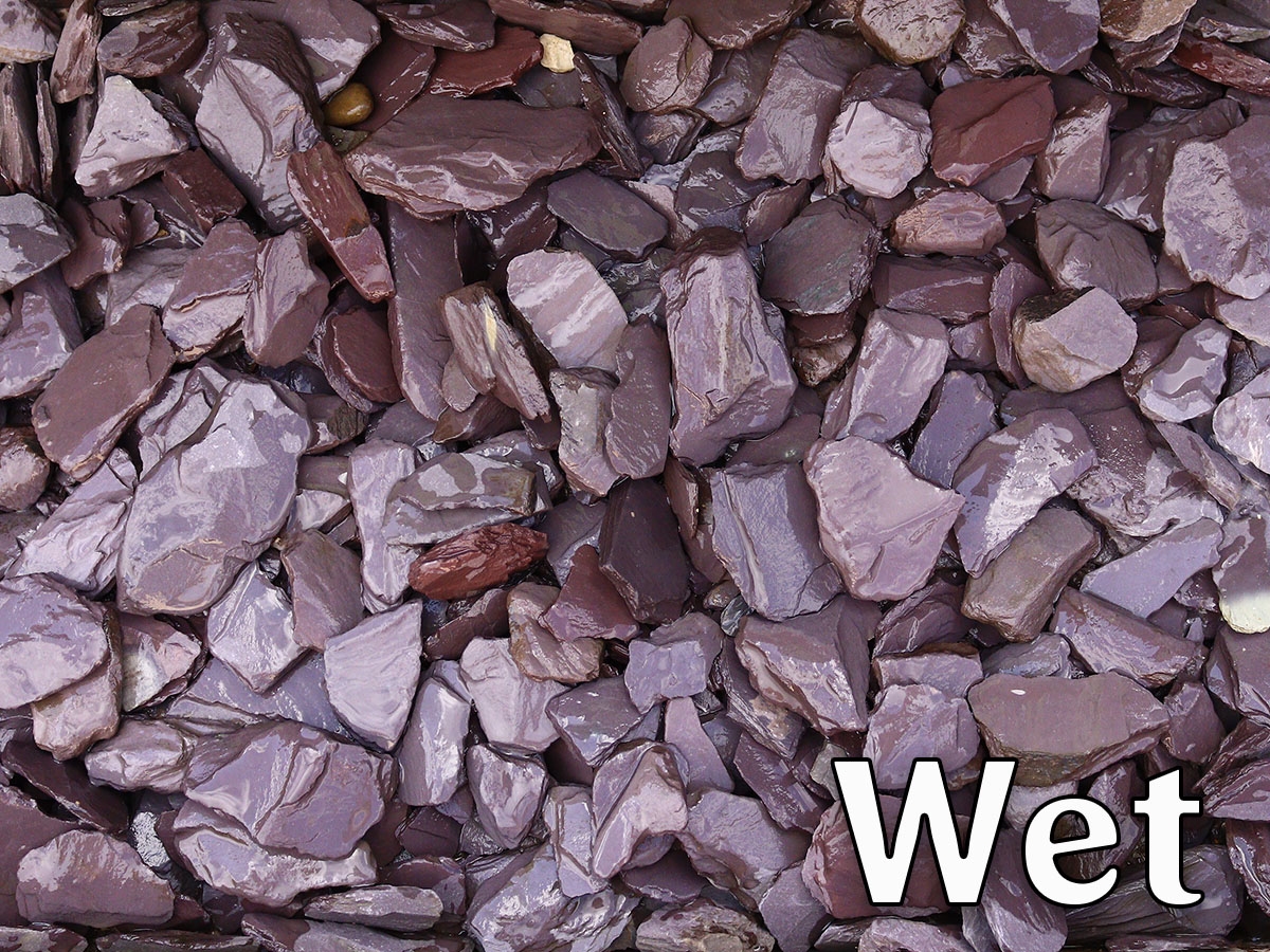 Second slide for pid 12920