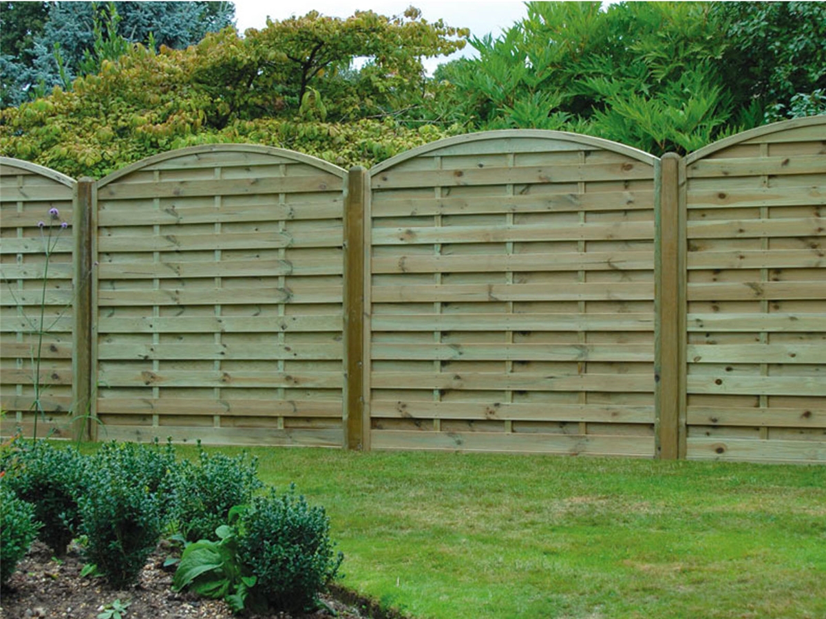 Second slide for pid 13065