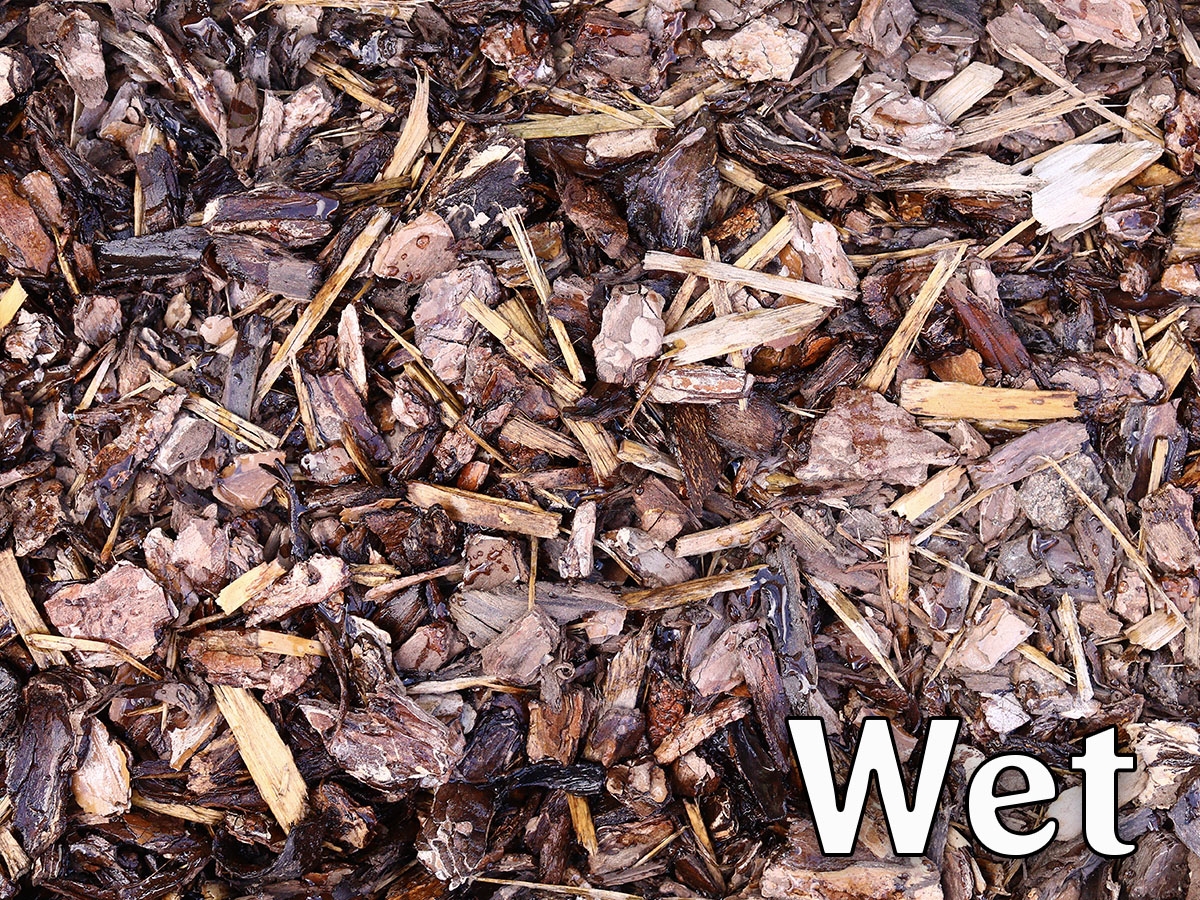 Second slide for pid 13259