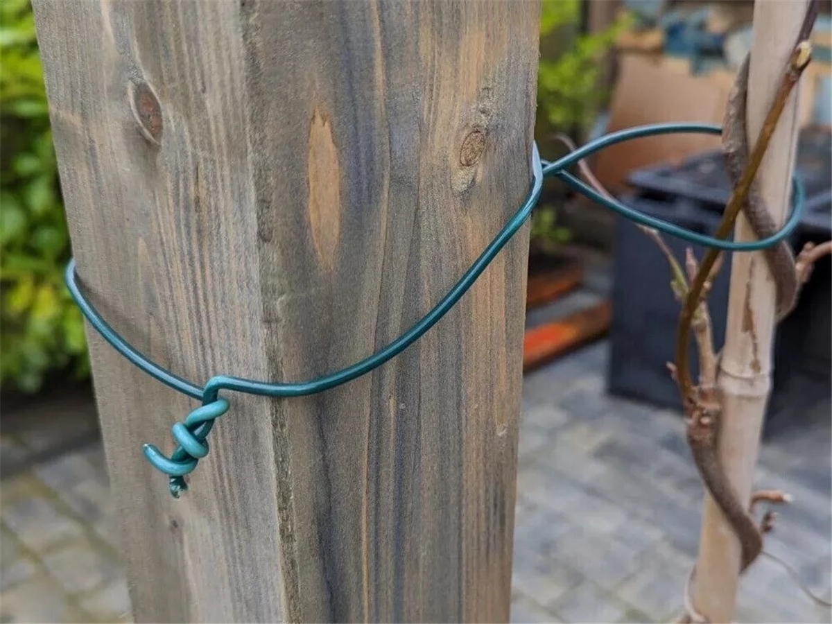 Third slide for pid 14076