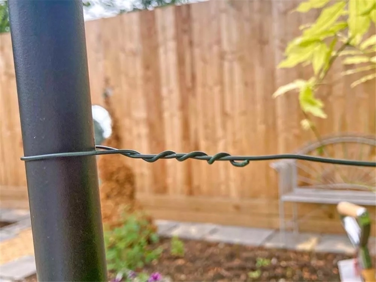 Fifth slide for pid 14076