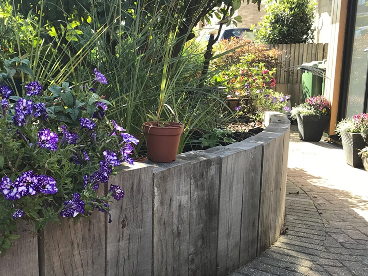 Third slide for pid 18234