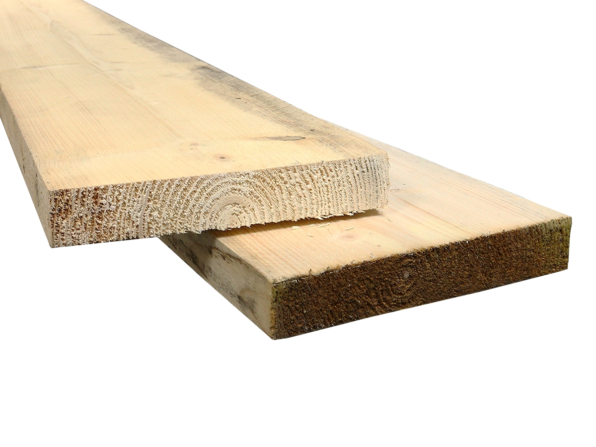 First slide for pid 19790