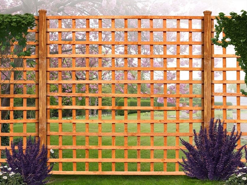 First slide for pid 2100