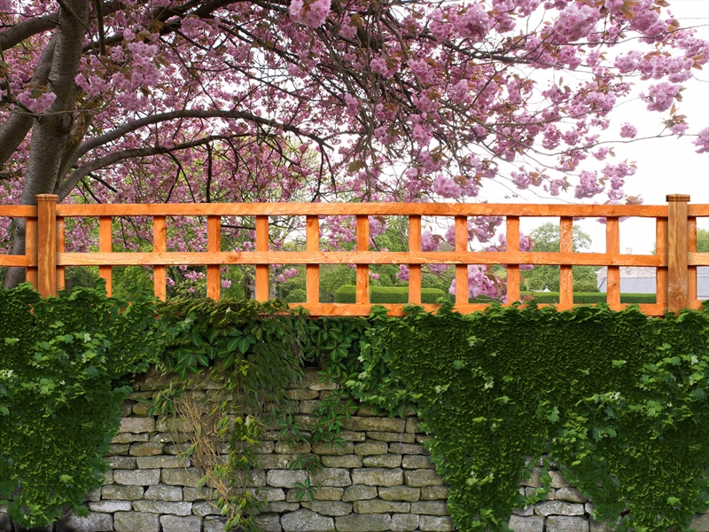 First slide for pid 2104