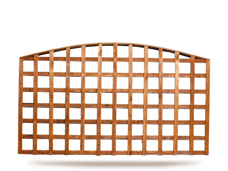 Second slide for pid 2106